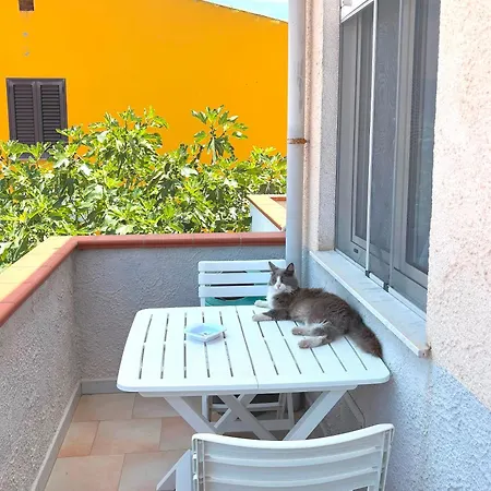 Rossini * Valledoria (Sardinia)